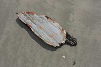 Cjp_2010_07_14_091703 (1).jpg